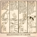 Cartoon: Milestones in CRISPR, Conceived by Phil Ness, drawn by Reeve, 2023..