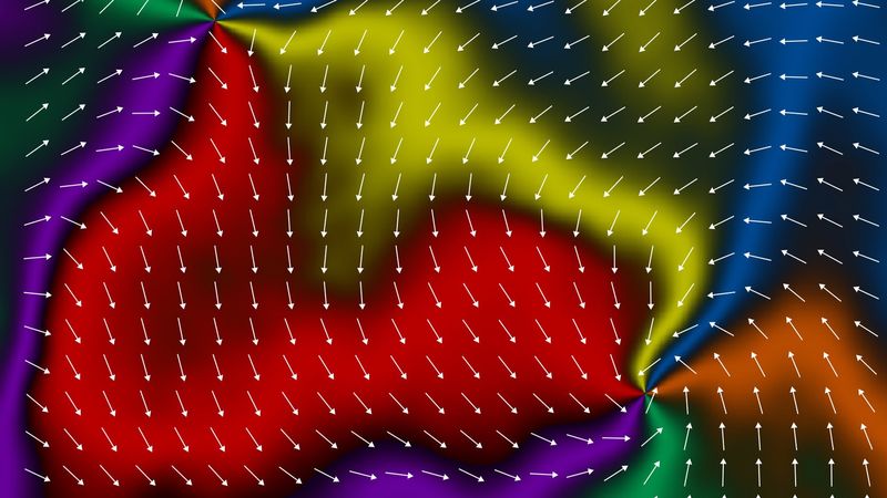 e six colors, with arrows overlayed, show the direction of the altermagnetic ordering within the materia. two vortices are visible