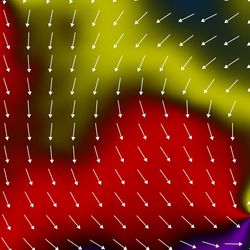 e six colors, with arrows overlayed, show the direction of the altermagnetic ordering within the materia. two vortices are visible