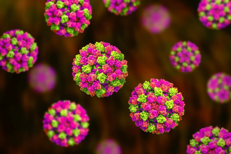 3D depiction of norovirus particles, in green and pink
