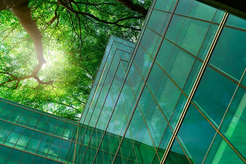  Eco-friendly building in the modern city. Green tree branches with leaves and sustainable glass building for reducing heat and carbon dioxide. Office building with green environment. Go green concept.