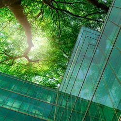  Eco-friendly building in the modern city. Green tree branches with leaves and sustainable glass building for reducing heat and carbon dioxide. Office building with green environment. Go green concept.