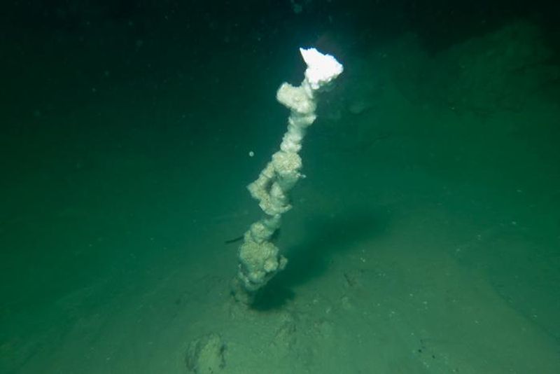 A photo of a white smoker on the lake floor. The stack is slim and irregularly shaped. It is white but it surrounded by the murky greenish water of the lake. 