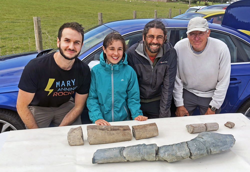 the jaw bone fragments of possibly the largest marine reptile ever to live on earth next to some humans the jaw bone fragments of possibly the largest marine reptile ever to live on earth next to some humans