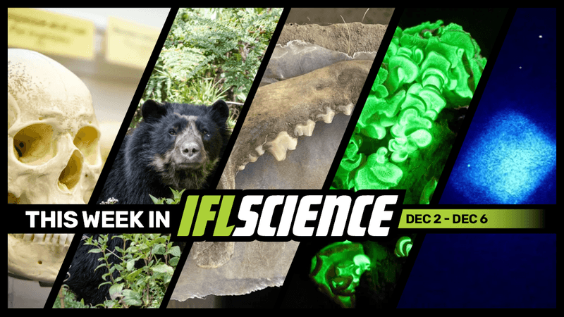 All the biggest science news stories of the week.