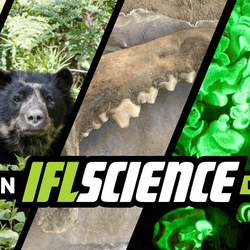 All the biggest science news stories of the week.