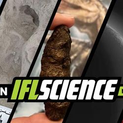 All the biggest science news stories of the week.